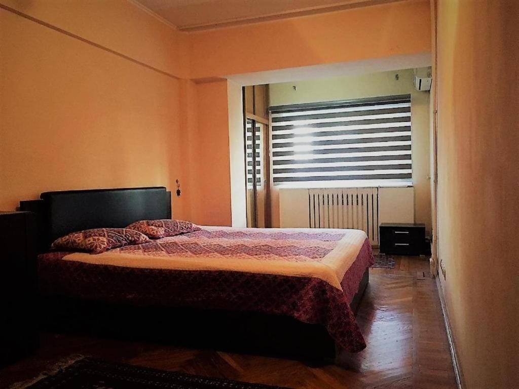 Spacious And Cozy Taşkent Dış mekan fotoğraf